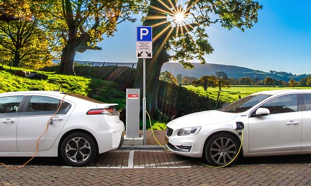 2026 Guide: The Best Car Rental Companies in the Canary Islands (Island by Island)