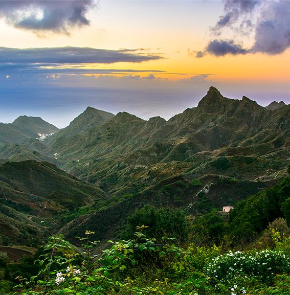 Holidays in Tenerife
