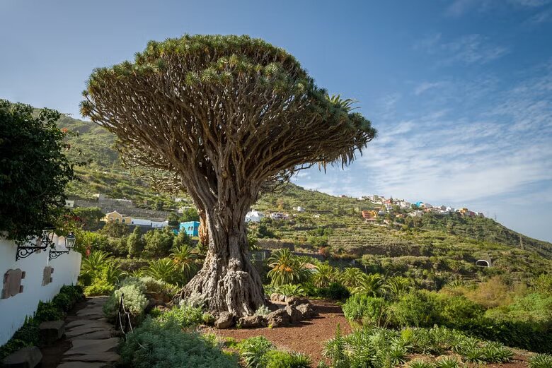A weekend in Tenerife