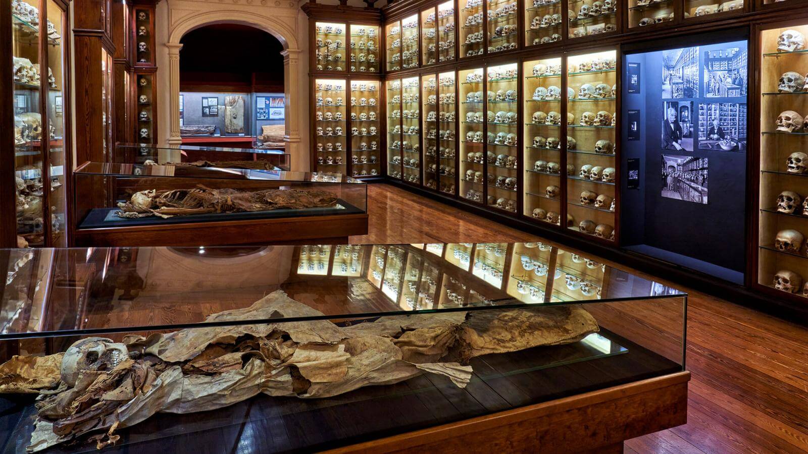 Museo Canario