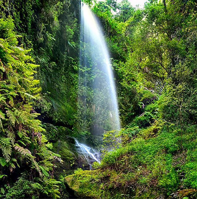 La Palma Guide | Local and sustainable tourism